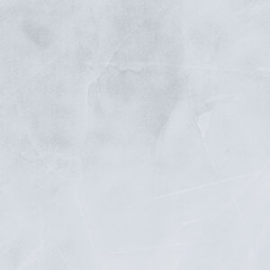 Stylish Light Violet