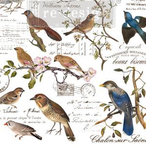 Re-Design-Decoratie-Transfers- Postal Birds