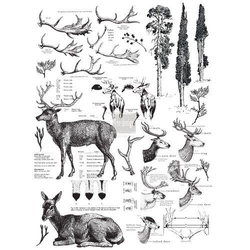 Redesign - Decoratietransfer - Deer