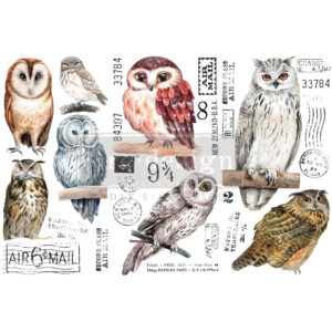 Redesign - Decoratietransfer - Owl