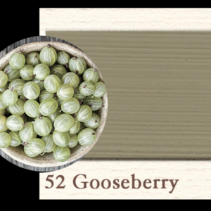 Painting the Past -Gooseberry 52
