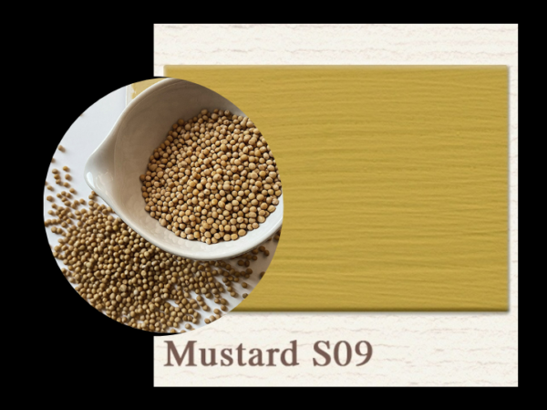 Painting the Past - Mustard S09