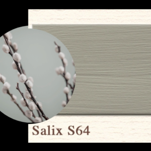 Painting the Past - Salix - S64