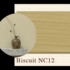 Painting the Past - Biscuit - NC12