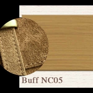 Painting the Past - Buff - NC05