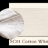 Painting the Past - Cotton White SC 01