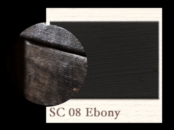 Painting the Past - Ebony - SC 08