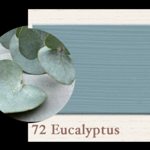Painting the Past - Eucalyptus 72