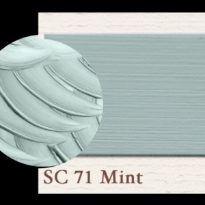 Painting the Past - Mint - SC 71