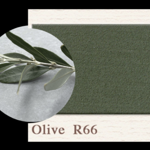 Painting the Past -Olive - R66