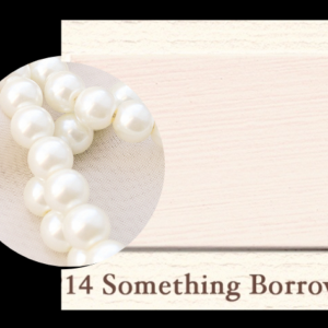 Painting the Past - Something Borrowed - P14