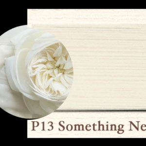 Painting the Past - Something New - P13