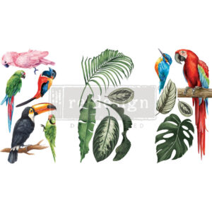 Redesign - Decoratie Transfer - Tropical Birds