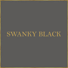PTMD Verf - Swanky Black