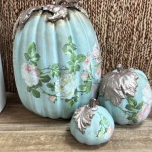 Workshop Pompoenen met transfers