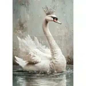 serene s serenity
